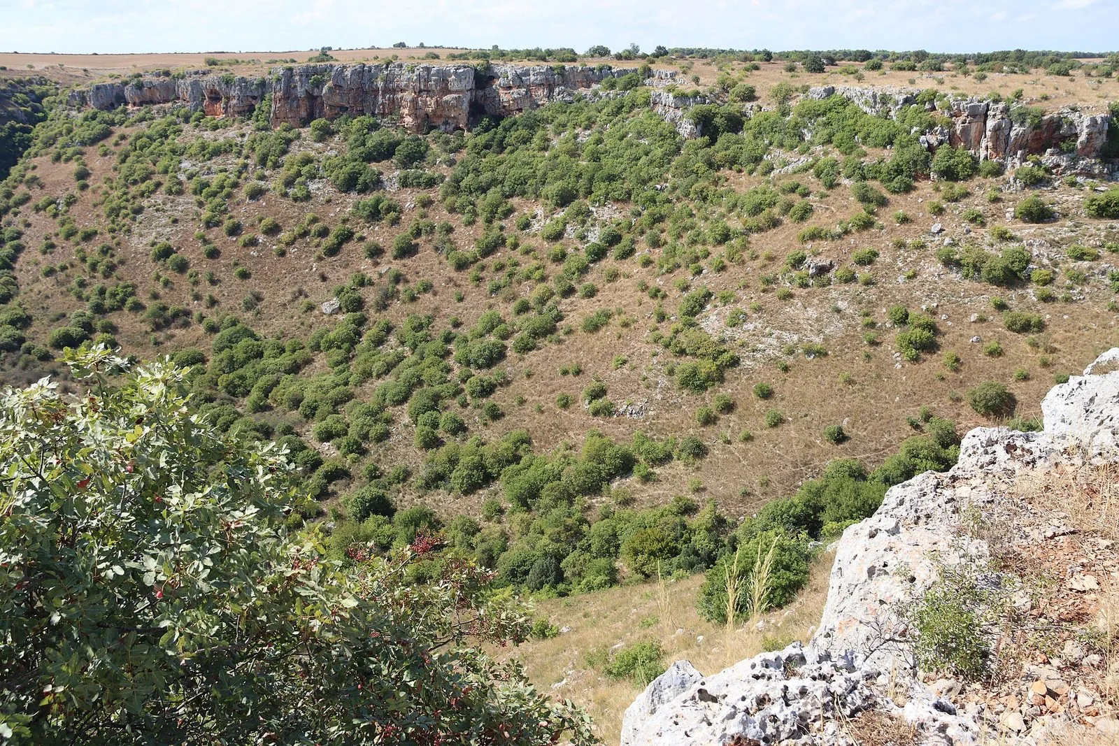Il Pulo di Altamura, grande dolina carsica con pareti rocciose e versanti coperti di macchia, nel Parco Nazionale dell'Alta Murgia